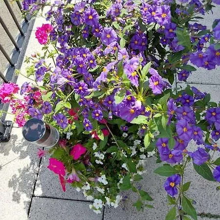 Keeloges Apartamento *