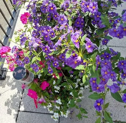 Keeloges Lägenhet *